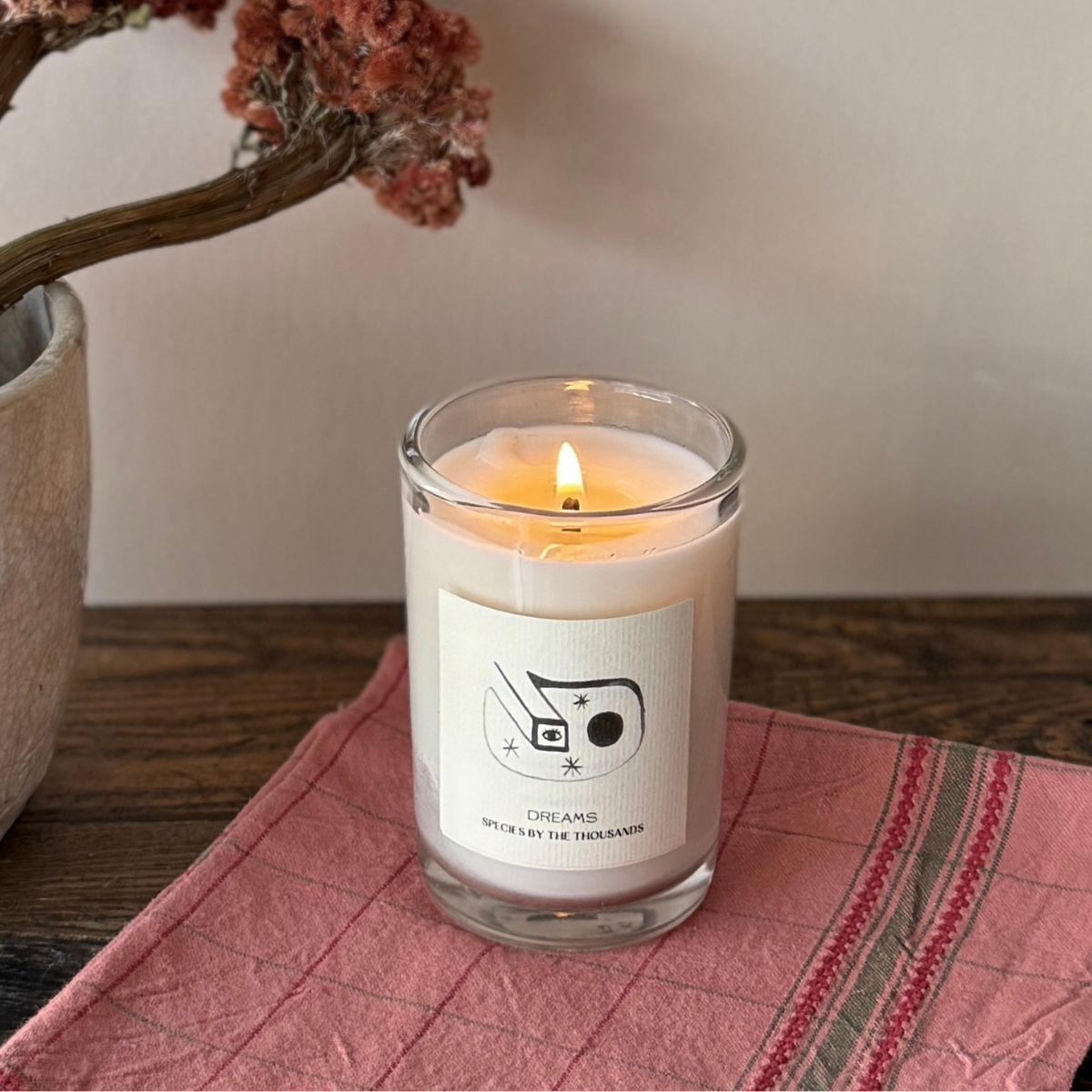 Dreams Candle | Species by the Thousands