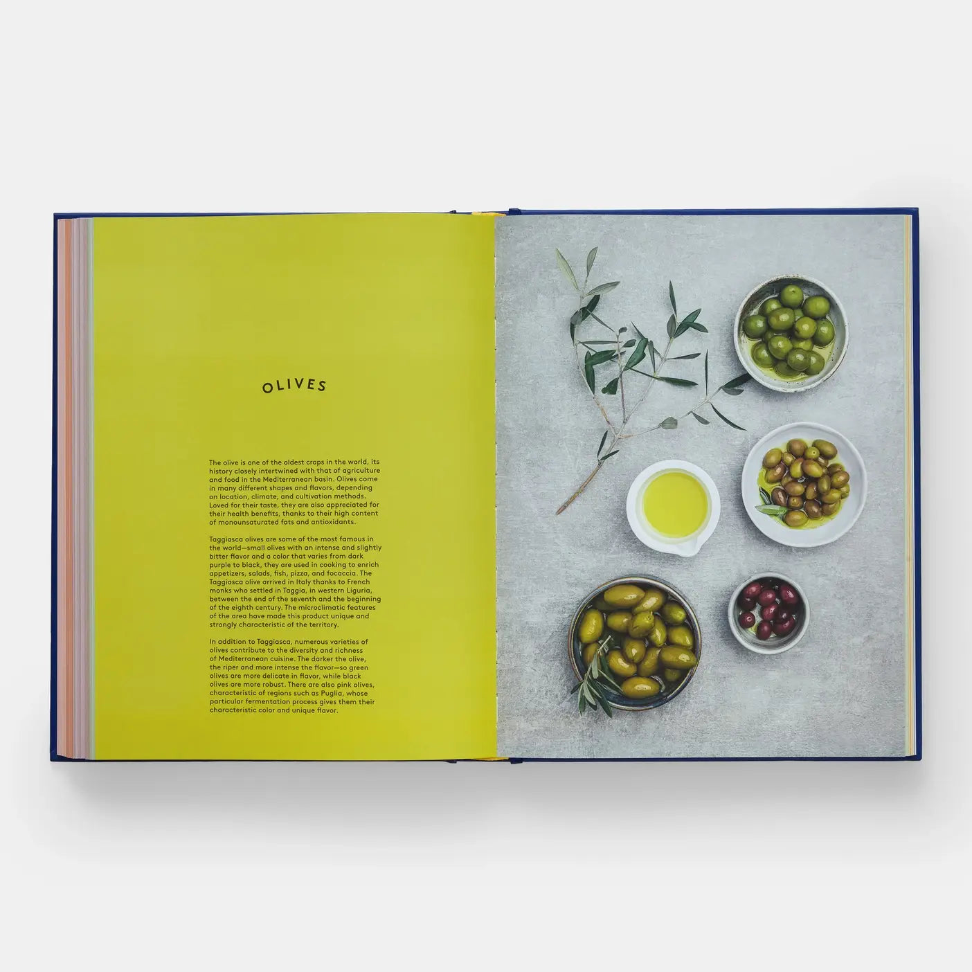 Book Of Pasta