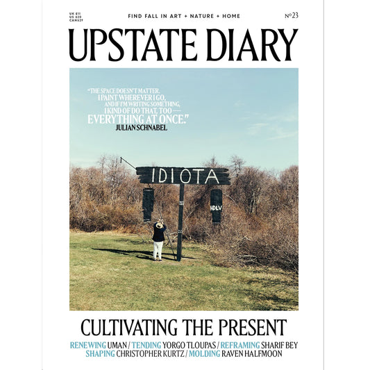 Upstate Diary | Issue no. 23
