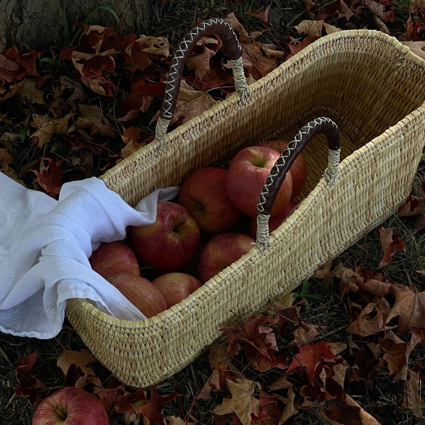 Gardener Long Basket | Large