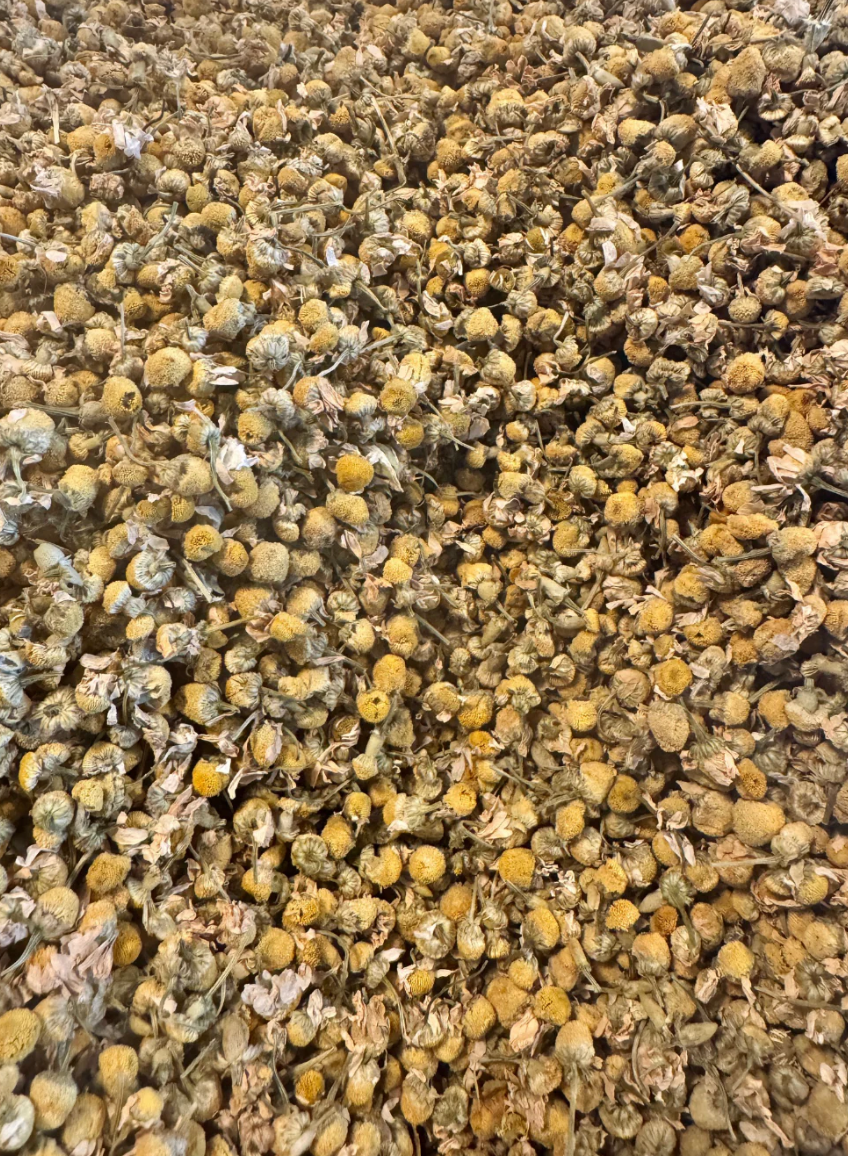 Quiet Botanist | Chamomile Tea Set