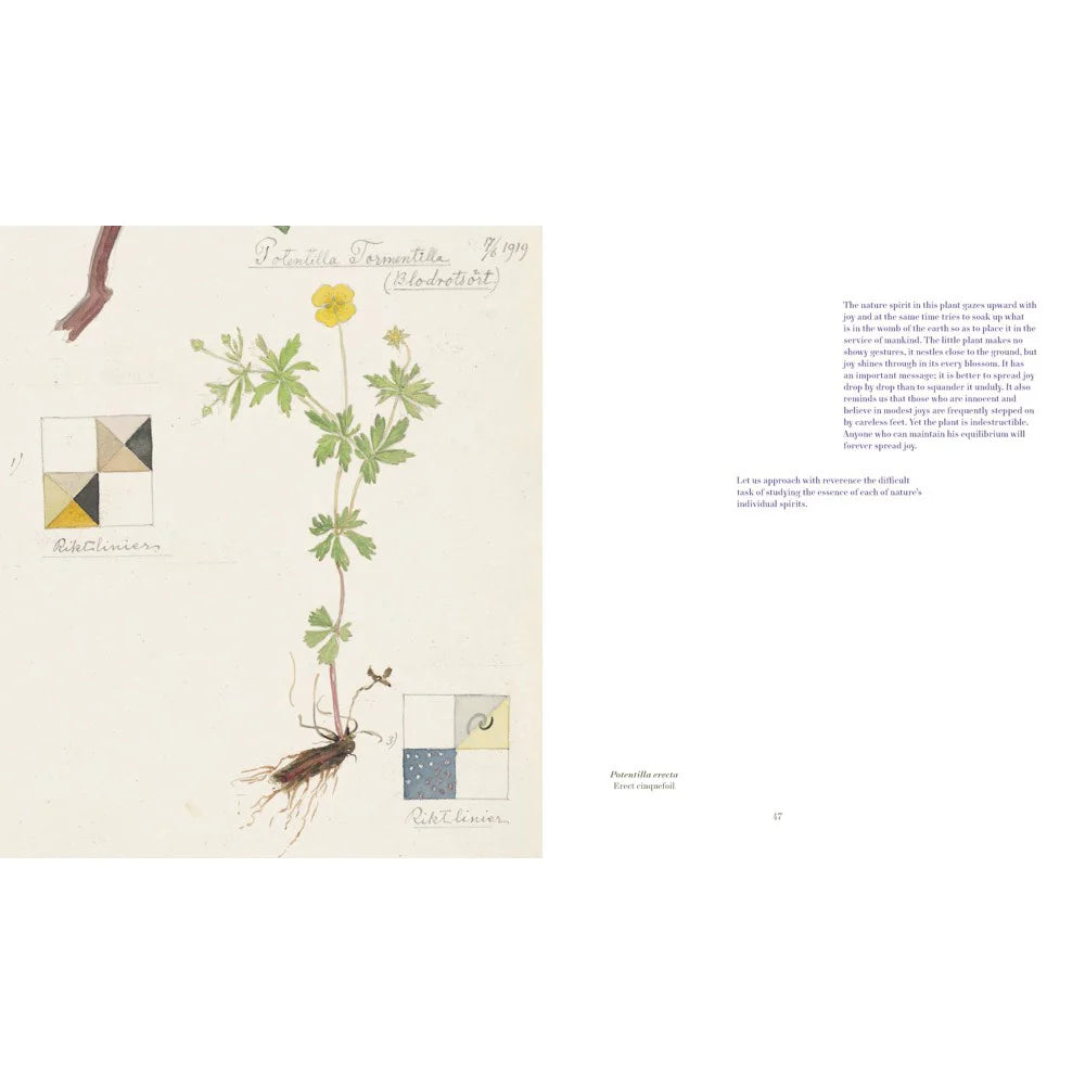 Hilma Af Klint | What Stands Behind the Flowers