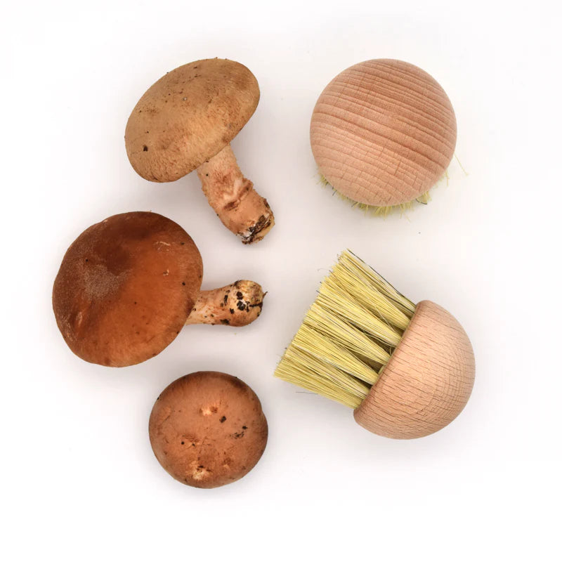 Mushroom Brush