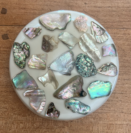 Vintage Midcentury Shell Trivet