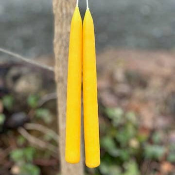 Natural Beeswax Candles | 10"