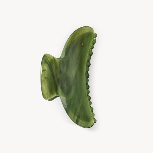 Grande Heirloom Claw | Algae