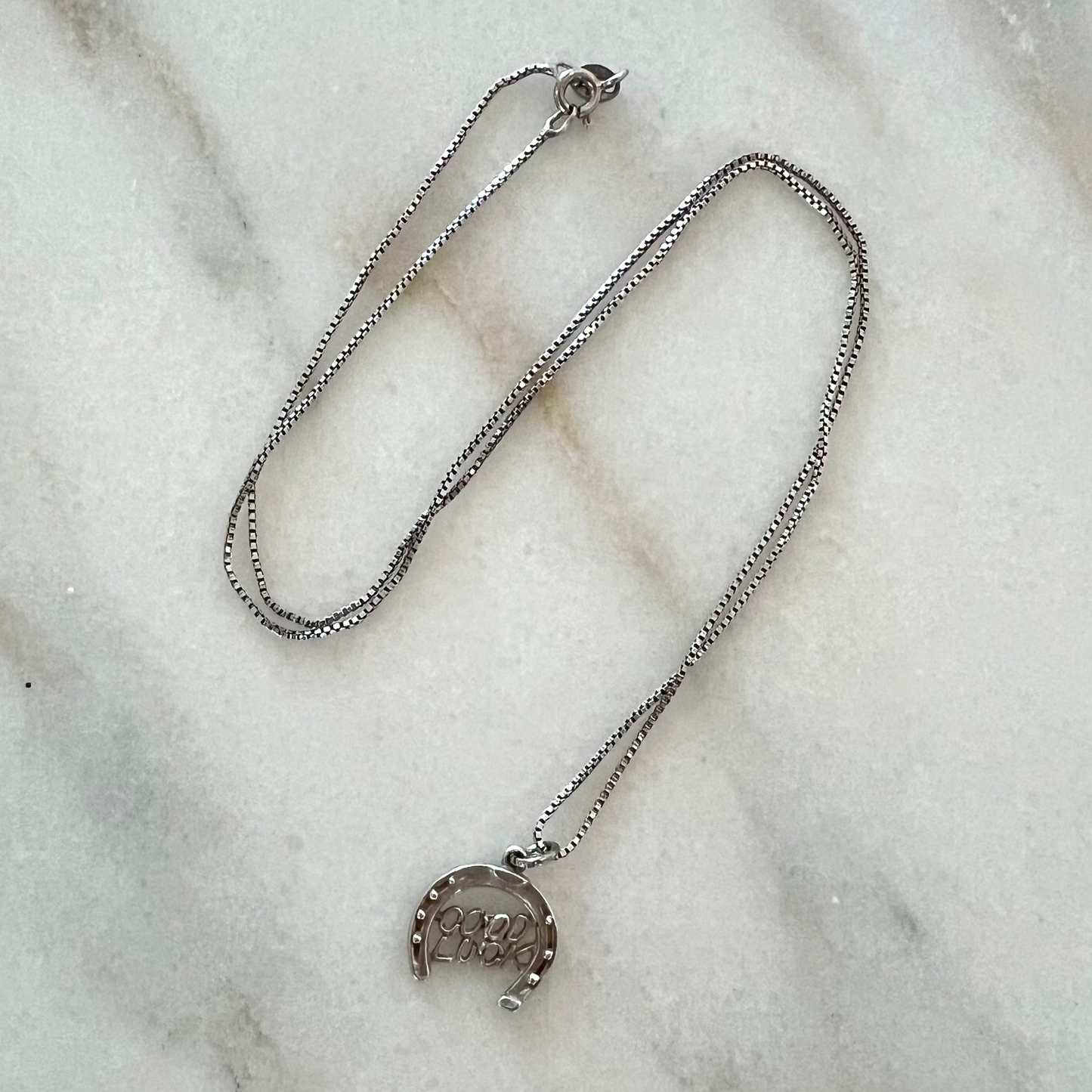 Vintage Good Luck Horseshoe Necklace