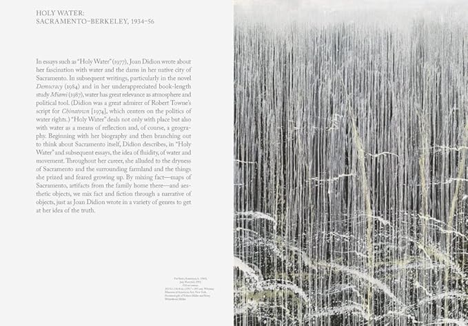 Joan Didion | What She Means